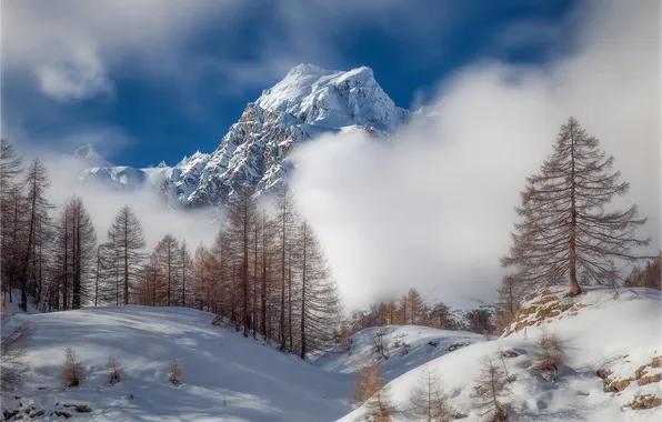 Картинка зима, лес, пейзаж, горы, природа, туман