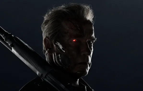 Action, Red, Gun, Darkness, Robot, Wallpaper, Weapon, Arnold Schwarzenegger