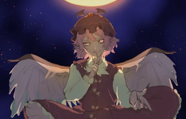 Взгляд, девушка, ночь, крылья, Touhou, Тохо, Тоухоу
