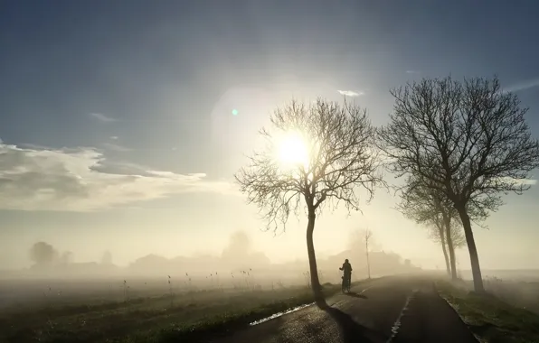 Картинка дорога, свет, велосипед, туман, утро