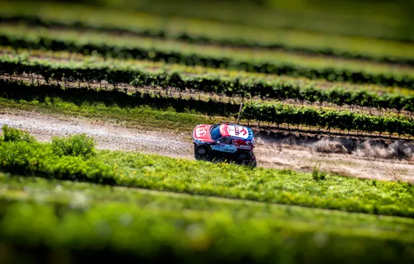 Mini, Спорт, Скорость, Гонка, Вид сверху, Rally, Внедорожник, Ралли