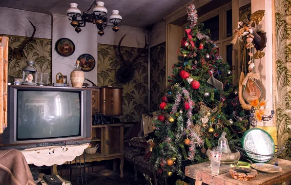Картинка комната, праздник, телевизор, ёлка