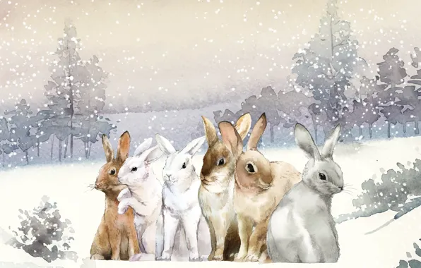 Раскраска заяц ловит снежинки зимой 😻 распечатать бесплатно
