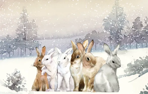 Зима, лес, небо, снег, природа, вместе, рисунок, заяц