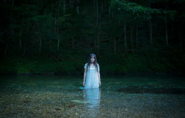 Картинка лес, взгляд, вода, девушка