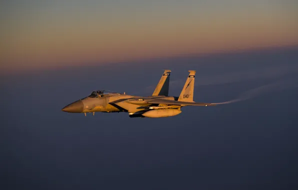 Картинка Eagle, ВВС США, McDonnell Douglas, истребитель четвёртого поколения, F-15C, американский всепогодный, завоевания превосходства в воздухе, …