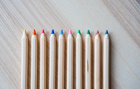 Colors, wood, pencils