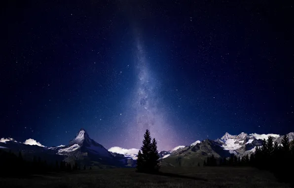 Картинка лес, звезды, горы, ночь, Альпы, млечный путь