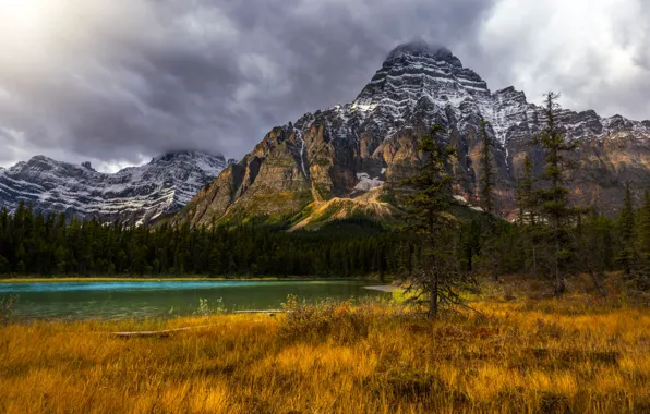 Картинка лес, горы, озеро, Канада, Альберта, Banff National Park, Alberta, Canada