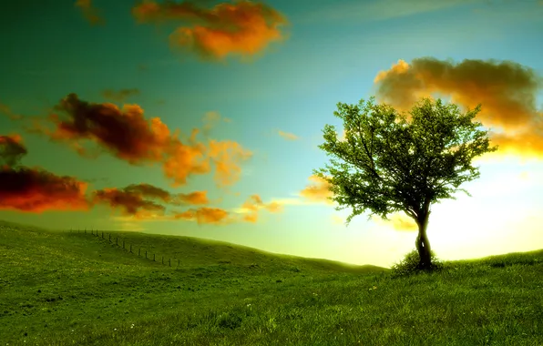 Картинка небо, облака, пейзаж, природа, холмы, травка, зелень. дерево