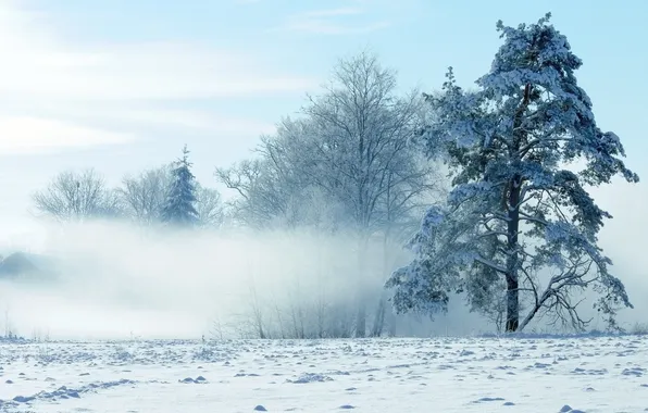 Картинка зима, снег, пейзаж, природа, winter