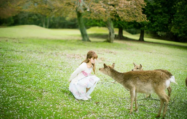Grass, Beautiful, Asian, Model, Woman, Pretty, Outdoor, Deer