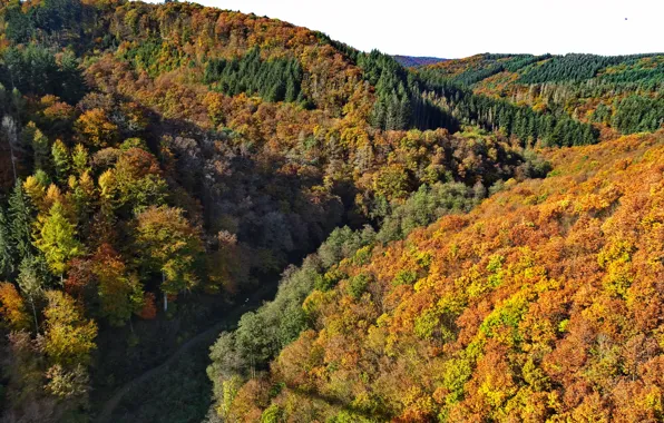 Geierlay, Hunsrück, Herbstlaub