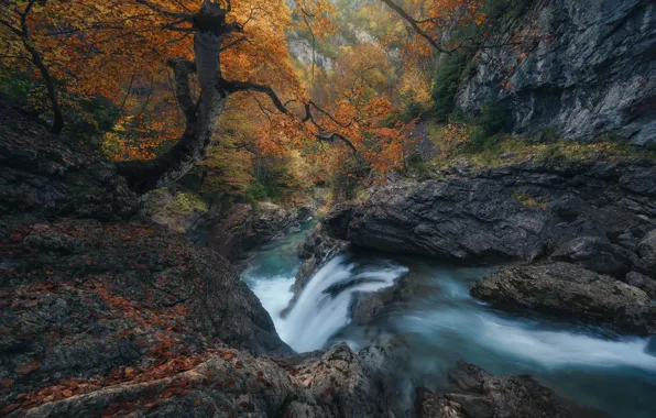 Картинка осень, деревья, ручей, скалы, водопад, речка, Испания, Spain