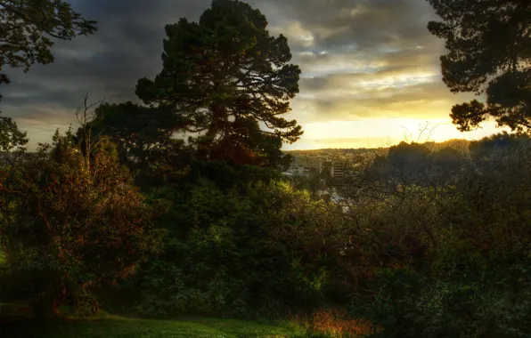 Картинка лес, закат, природа, город, фото, рассвет, New Zealand