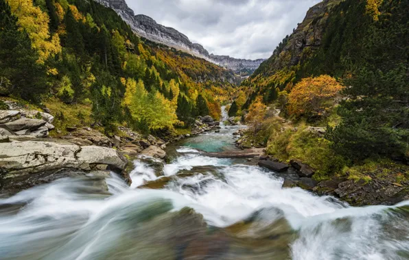 Осень, лес, скалы, берег, листва, водопад, поток, краски осени