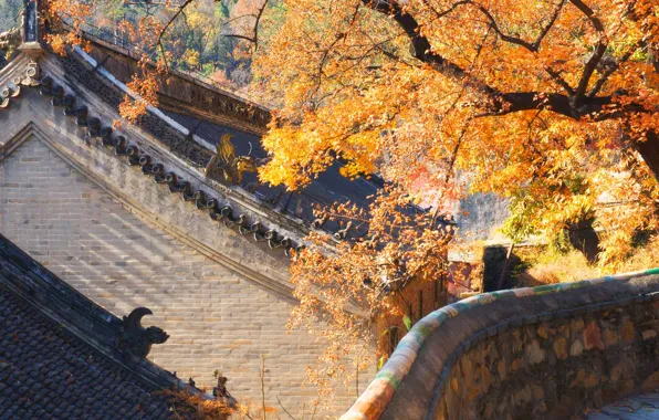 Крыша, осень, дом, Китай, Пекин
