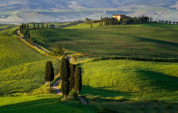 Картинка природа, Pienza, Tuscany