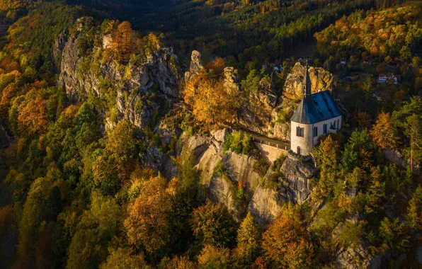 Осень, лес, деревья, горы, старина, замок, скалы, высота