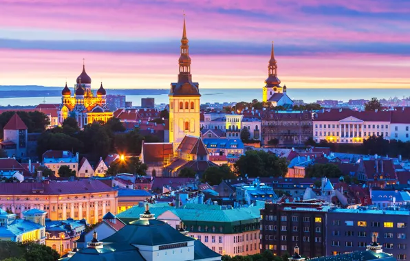 Здания, Эстония, Таллин, панорама, ночной город, Tallinn, Estonia