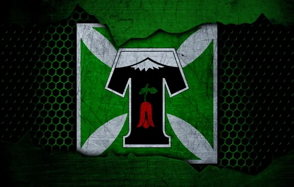 Wallpaper, sport, logo, football, Deportes Temuco