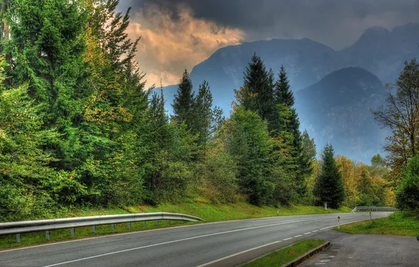 Картинка дорога, природа, фото, ель, Австрия, Salzburg