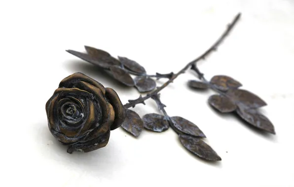 Цветы, фон, розы