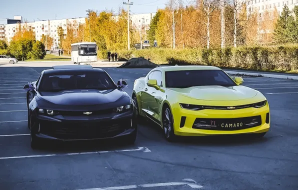 Camaro, Black, Chevrolet camaro, Yelow