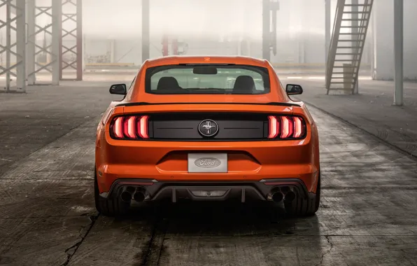 Mustang, Ford, вид сзади, EcoBoost, 2020, High Performance Package