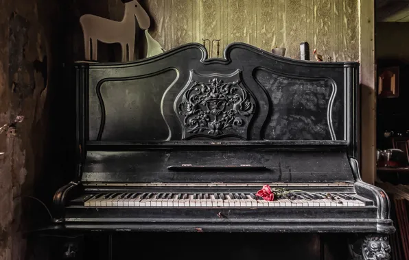 Картинка музыка, роза, пианино