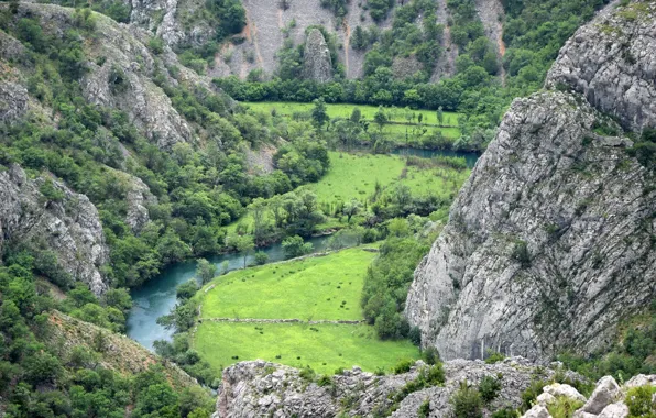 Картинка трава, горы, река