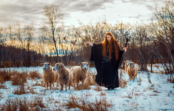 Картинка девушка, овцы, Samantha