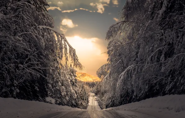 Зима, дорога, лес, снег, деревья, Швеция