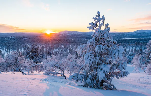 Картинка зима, снег, деревья, пейзаж, горы, елки, forest, landscape