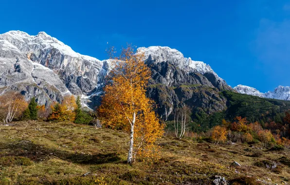 Картинка осень, горы, скалы, Австрия, Альпы