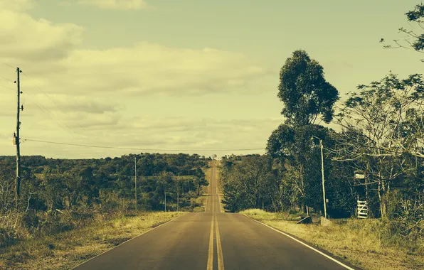 Картинка дорога, небо, облака, деревья, горизонт, Бразилия, линия электропередач, фермы