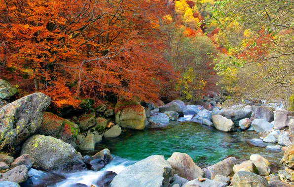 Картинка осень, лес, деревья, озеро, камни