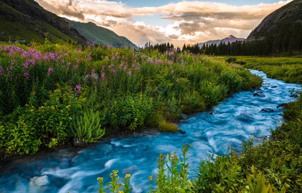 Картинка лето, пейзаж, закат, цветы, горы, река, Колорадо, США