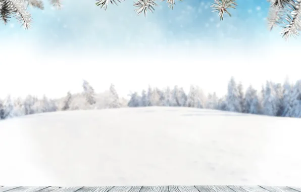 Картинка Зима, Снег, Ветки, Доски, Шаблон