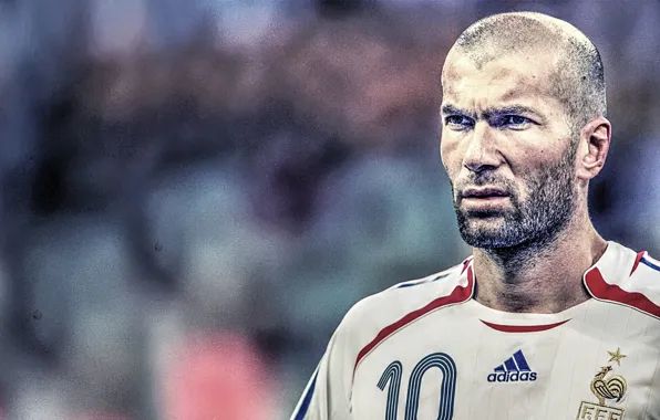 Wallpaper, France, football, legend, Zinedine Zidane, Real Madrid CF, Juventus FC