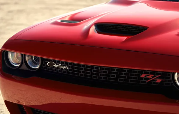 Dodge, Challenger, вид спереди, Widebody, Scat Pack, Challenger RT, 2019