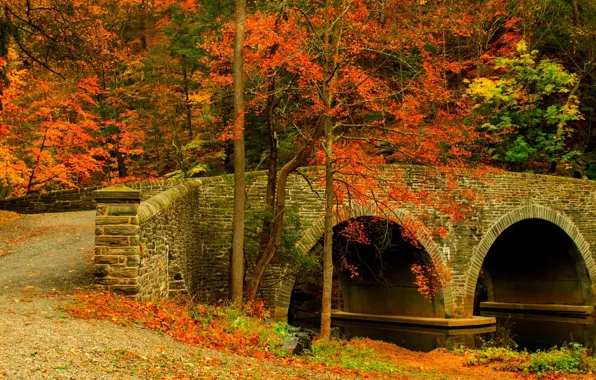 Дорога, осень, лес, листья, деревья, мост, природа, парк