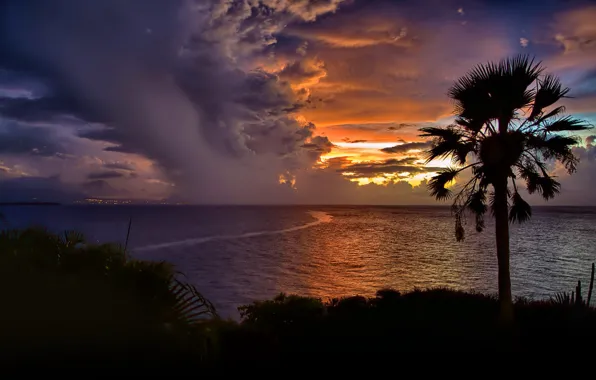 Картинка море, небо, облака, закат, пальма, силуэт, Доминиканская Республика, Кабарет