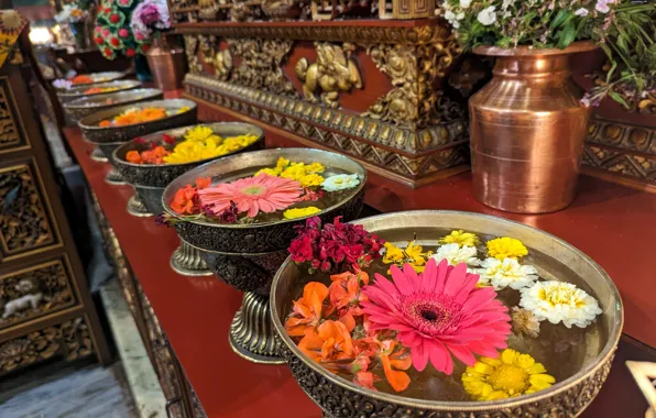 Храм, Непал, Nepal, Kathmandu, Катманду, Цветы в вазах, Pixel 7 pro пример фото, Цветы в …