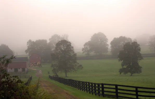 Картинка поле, деревья, туман, село, утро, Осень, дорожка, trees