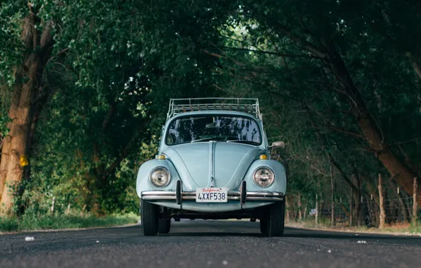 Car, Volkswagen, road, trees, Beetle, Volkswagen Beetle