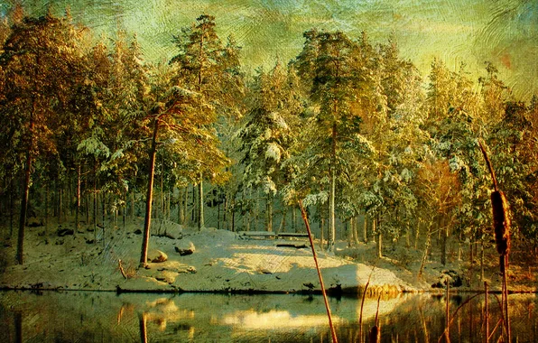 Картинка зима, лес, снег, деревья, река, холст