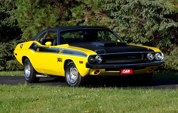 Car, dodge, challenger