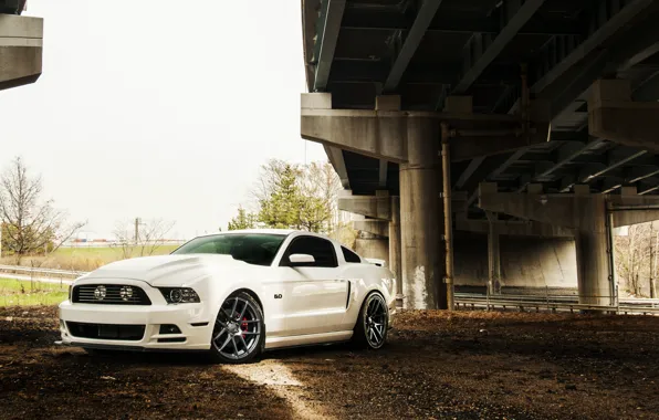 Mustang, Ford, Форд, Muscle, Мустанг, Car, 5.0