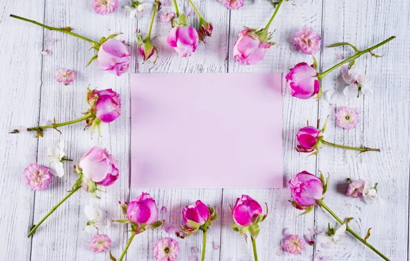 Картинка цветы, розы, рамка, розовые, бутоны, pink, flowers, beautiful